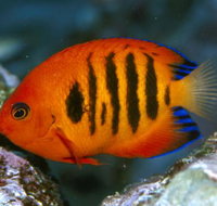 Cairns Marine - Gold Coast Attractions