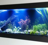Aquariums in Cairns - Gold Coast Attractions