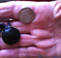 Hurleys Aquariums - Gold Coast Attractions