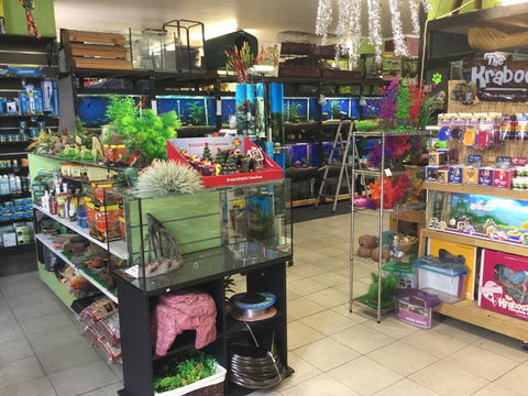 Pets Wonderland - Gold Coast Attractions 2