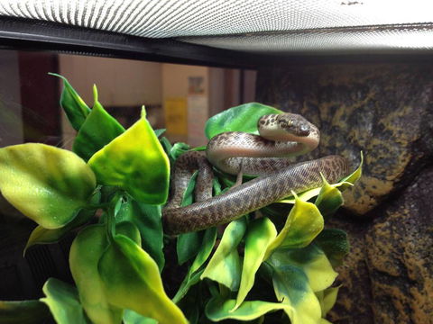 Pets Wonderland - Gold Coast Attractions 3
