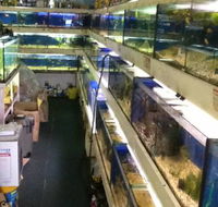 Clearwater Aquariums - Gold Coast Attractions