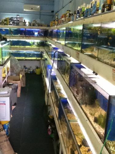 Clearwater Aquariums - Gold Coast Attractions 0