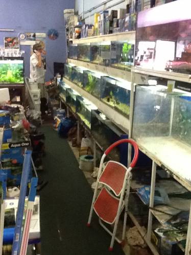 Clearwater Aquariums - Gold Coast Attractions 1