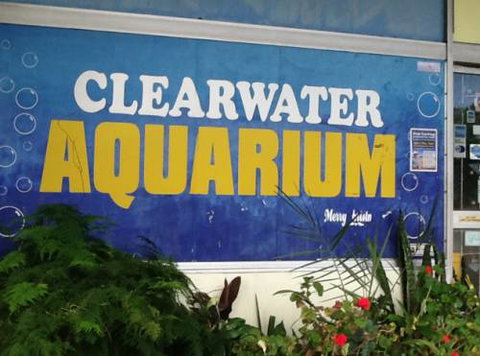 Clearwater Aquariums - Gold Coast Attractions 2