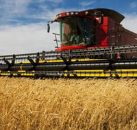 Quirindi Grain and produce - Gold Coast Attractions