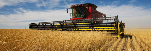 Quirindi Grain And Produce - Gold Coast Attractions 0