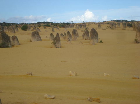 Pinnacles Desert, Koalas And Sandboarding 4WD Day Tour From Perth - Gold Coast Attractions 23