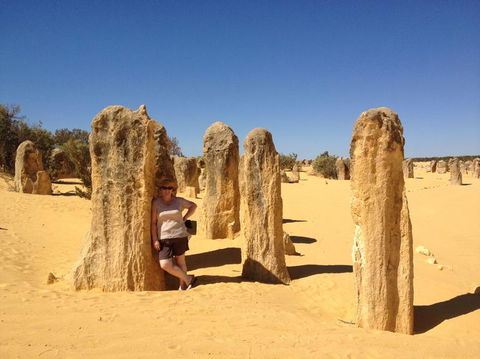 Pinnacles Desert, Koalas And Sandboarding 4WD Day Tour From Perth - Gold Coast Attractions 17