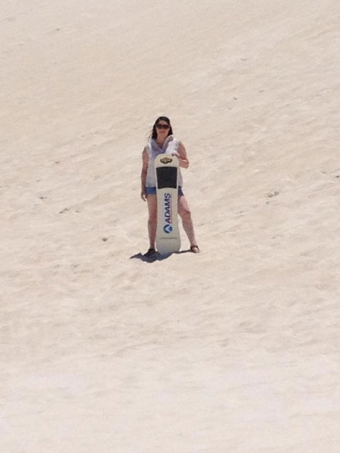 Pinnacles Desert, Koalas And Sandboarding 4WD Day Tour From Perth - Gold Coast Attractions 21