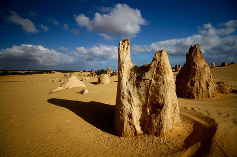 Pinnacles Desert, Koalas And Sandboarding 4WD Day Tour From Perth - Gold Coast Attractions 6