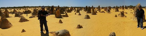 Pinnacles Desert, Koalas And Sandboarding 4WD Day Tour From Perth - Gold Coast Attractions 11