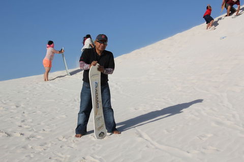 Pinnacles Desert, Koalas And Sandboarding 4WD Day Tour From Perth - Gold Coast Attractions 9
