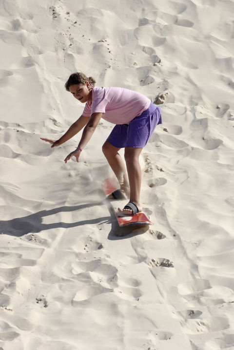 Pinnacles Desert, Koalas And Sandboarding 4WD Day Tour From Perth - Gold Coast Attractions 24