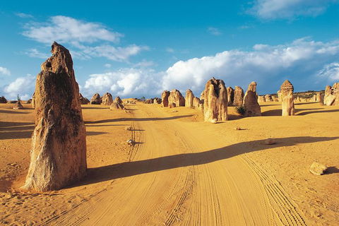 Pinnacles Desert, Koalas And Sandboarding 4WD Day Tour From Perth - Gold Coast Attractions 0