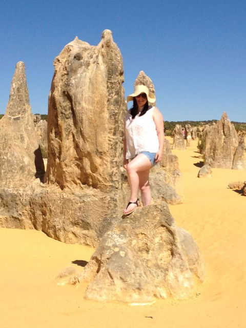 Pinnacles Desert, Koalas And Sandboarding 4WD Day Tour From Perth - Gold Coast Attractions 16