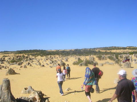 Pinnacles Desert, Koalas And Sandboarding 4WD Day Tour From Perth - Gold Coast Attractions 25