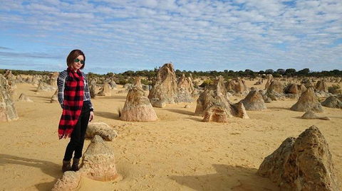 Pinnacles Desert, Koalas And Sandboarding 4WD Day Tour From Perth - Gold Coast Attractions 13