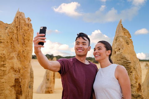 Pinnacles Desert, Koalas And Sandboarding 4WD Day Tour From Perth - Gold Coast Attractions 1