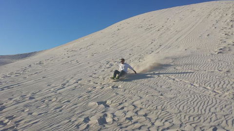 Pinnacles Desert, Koalas And Sandboarding 4WD Day Tour From Perth - Gold Coast Attractions 14
