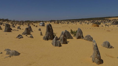 Pinnacles Desert, Koalas And Sandboarding 4WD Day Tour From Perth - Gold Coast Attractions 4