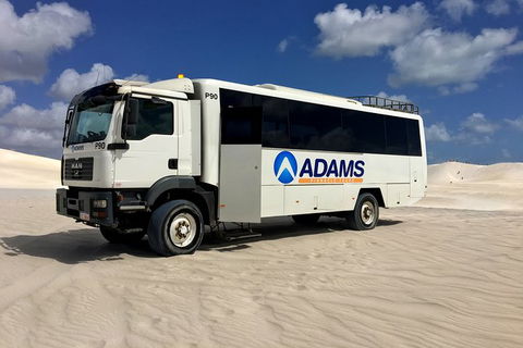 Pinnacles Desert, Koalas And Sandboarding 4WD Day Tour From Perth - Gold Coast Attractions 28