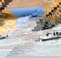 Horizontal Falls Half-Day Tour from Broome - Gold Coast Attractions