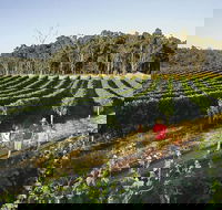 Margaret River Caves Wine and Cape Leeuwin Lighthouse Tour from Perth - Gold Coast Attractions