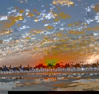 1 Hour Broome Sunset Camel Tour - Gold Coast Attractions