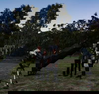 Stargazing Busselton with Mobile Observatory - Gold Coast Attractions