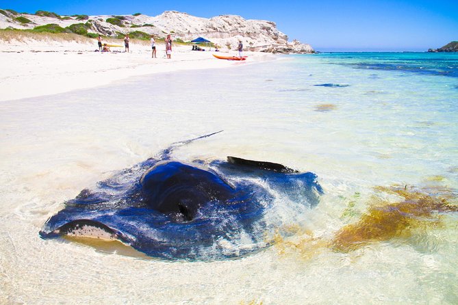 Schroeder WA Gold Coast Attractions