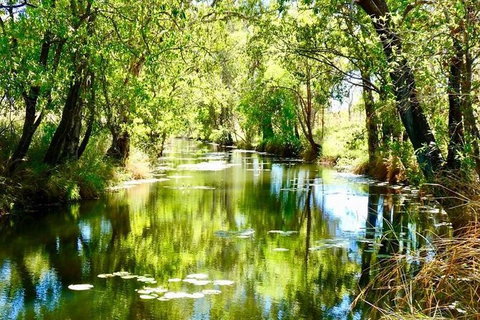 Gorgeous Gorges Tour - Windjana & Bell Gorge, Mt Hart, Cape Leveque - Gold Coast Attractions 8