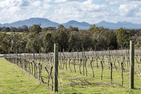 Mt Barker Grape Escape - Gold Coast Attractions 3