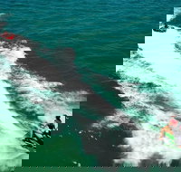 Geraldton Tubing Experience - Gold Coast Attractions