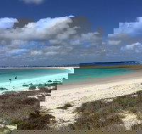 Abrolhos Island Half Day Fly and Flipper - Gold Coast Attractions