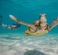 Turtle Eco Adventure Tour in Exmouth - Gold Coast Attractions