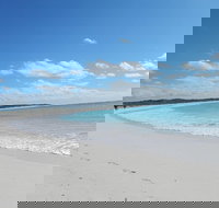 Shipwreck Special Nature Tour/Half Day Tour - Gold Coast Attractions