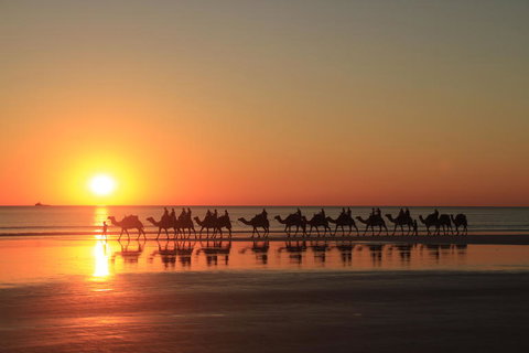 Broome City Sightseeing Tour With Optional Camel Ride - Gold Coast Attractions 2