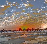 Broome City Sightseeing Tour with Optional Camel Ride - Gold Coast Attractions