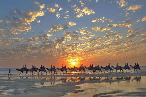 Broome City Sightseeing Tour With Optional Camel Ride - Gold Coast Attractions 0