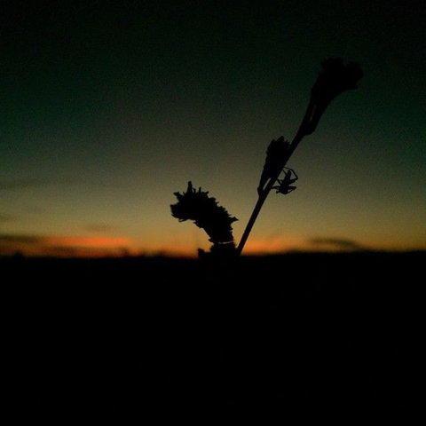 Windjana Gorge And Tunnel Creek 4WD Tour From Broome - Gold Coast Attractions 7