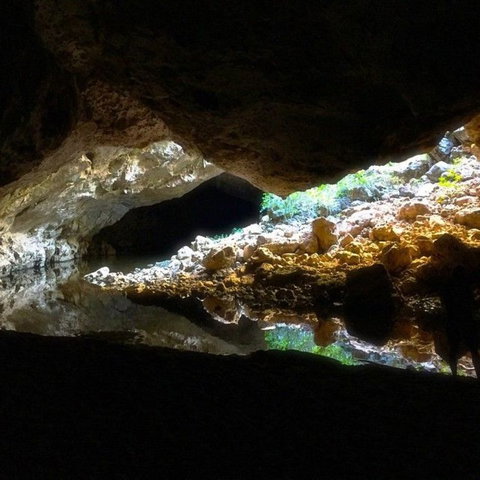 Windjana Gorge And Tunnel Creek 4WD Tour From Broome - Gold Coast Attractions 8