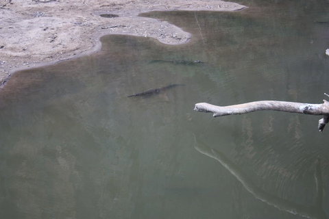 Windjana Gorge And Tunnel Creek 4WD Tour From Broome - Gold Coast Attractions 3