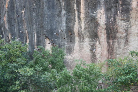 Windjana Gorge And Tunnel Creek 4WD Tour From Broome - Gold Coast Attractions 2