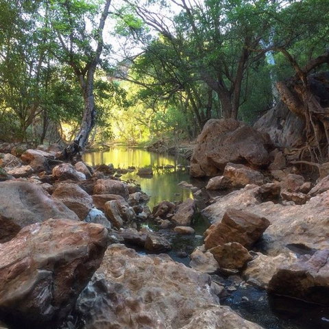 Windjana Gorge And Tunnel Creek 4WD Tour From Broome - Gold Coast Attractions 9