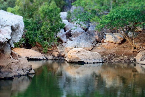 Windjana Gorge And Tunnel Creek 4WD Tour From Broome - Gold Coast Attractions 17