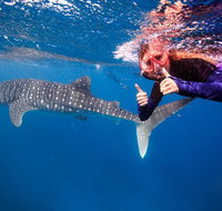 Swim with Whale Sharks- the largest fish in the world - Gold Coast Attractions