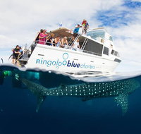 VIP luxury chartered escapes exploring the reef at your own pace - Gold Coast Attractions