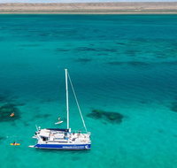 Whale Shark Swim by Catamaran in Shoulder Season - Gold Coast Attractions