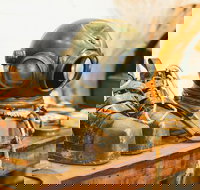 1.5-Hour Historical Pearl Luggers Tour in Broome - Gold Coast Attractions